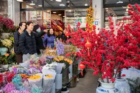 哈灵！上海这些宝藏年宵花市场太好逛了图片