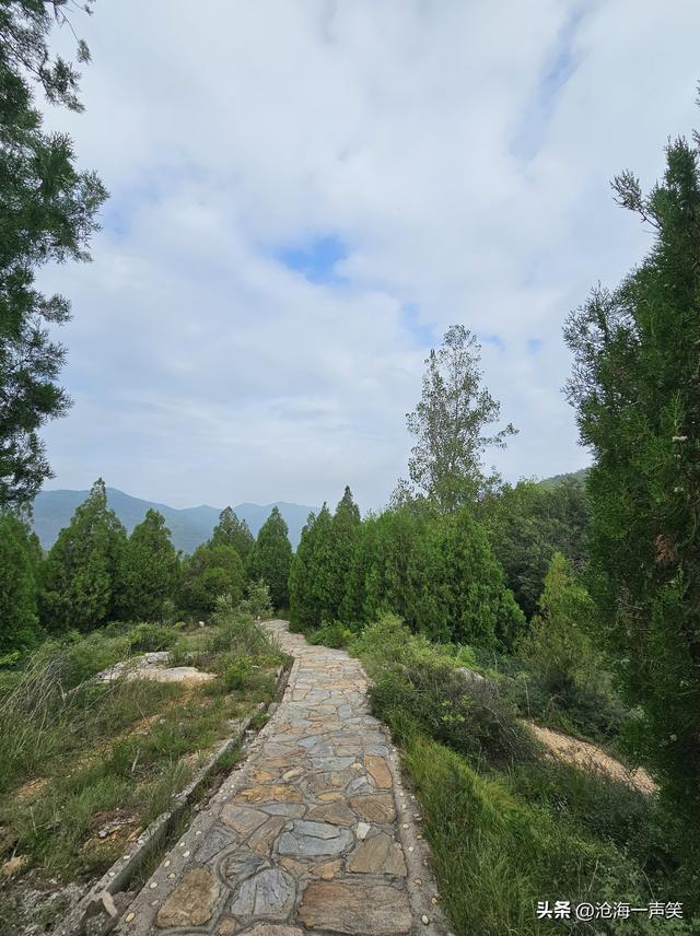 山里有什么，有高山起伏，有连绵大山，有绿树成荫，有台阶连绵