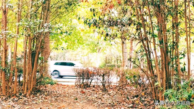 溧水南京同城游超香！可往返高速费为啥不能免？其实已经在发力了