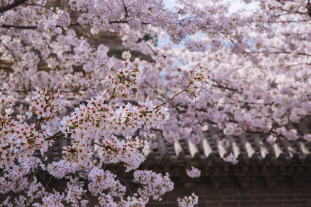 走，去河南山野里“撒个欢”！