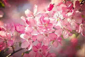 不管和谁做亲家，都要留这三个心眼，不然会吃大亏图片