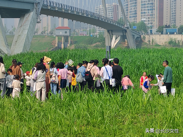 赴春日之约！长沙这场“环境友好 儿童友好”亲子踏青日活动太治愈啦