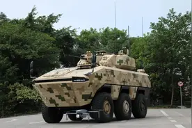 绰号百变金刚的VN22！已有155榴弹炮、125毫米突击炮等9款变形车图片