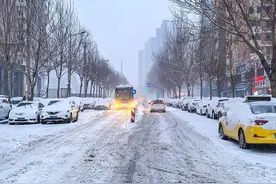 停产停工！高速入口一度关闭！暴雪已至，这里发布紧急提醒图片