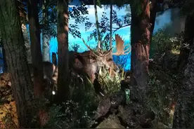 惊呆！这个小女孩竟然能与动物交流！图片