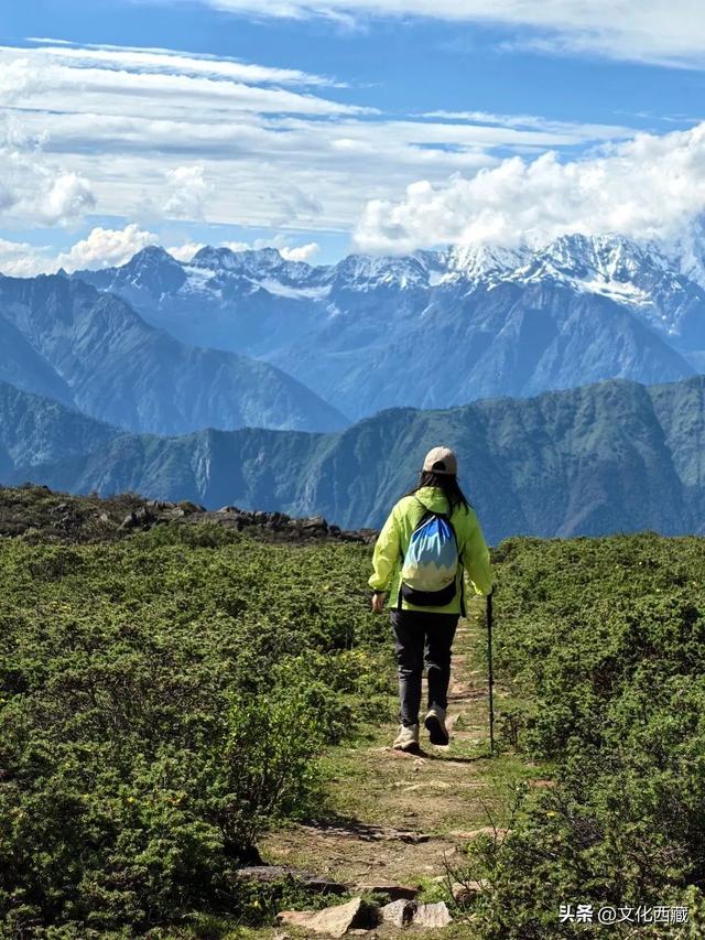 一路太多美景！离开浪浪山，去西藏这里开启一场山野漫游！