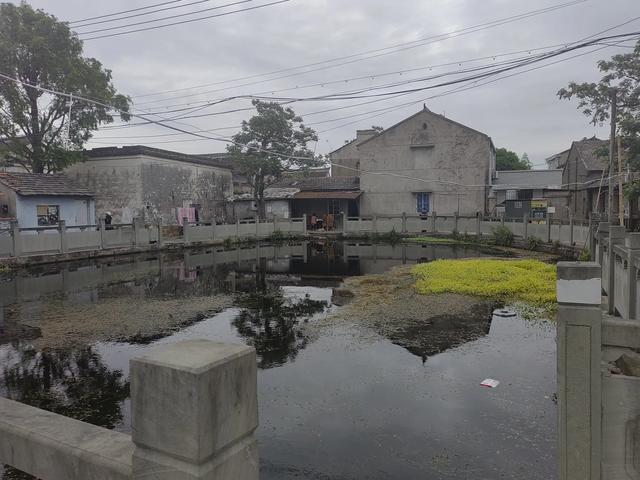 游宁波庄桥街道马径村