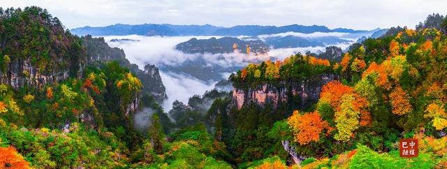 多图 | 红叶遍山野 赏秋正当时 光雾山红叶进入最佳观赏期