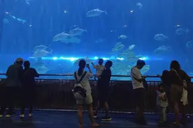 文旅热潮点燃夏日经济新活力图片