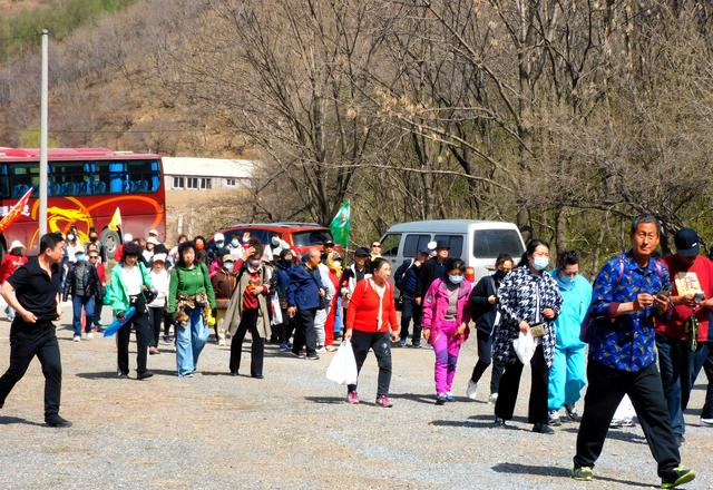 闻名省内外的“本溪地区最大的野生映山红花海”即将迎来观赏季
