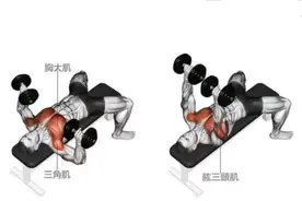 新手对哑铃重量没有概念，购买时不知道该如何选择怎么办？图片