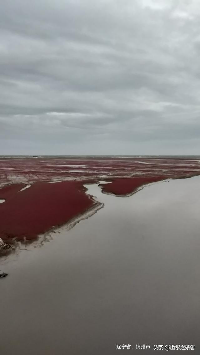 环游大东北之漫步锦州凌海红海滩