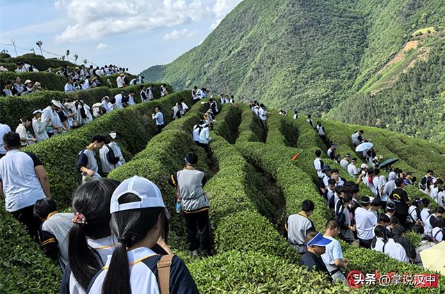 西乡县：以文旅融合推动旅游业提质增效