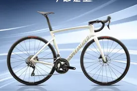 自行车品牌排行榜前十名，前面3名是凤凰、闪电、美利达自行车图片