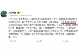 受降雪影响，太原多条高铁停运图片