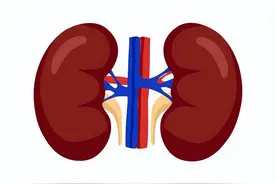 一个两味药的生精方，补肾填精，阴阳双补，人人都吃的起！图片