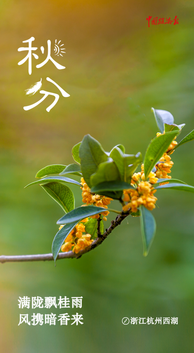 秋分丨寻色山河间 揽盈满秋实