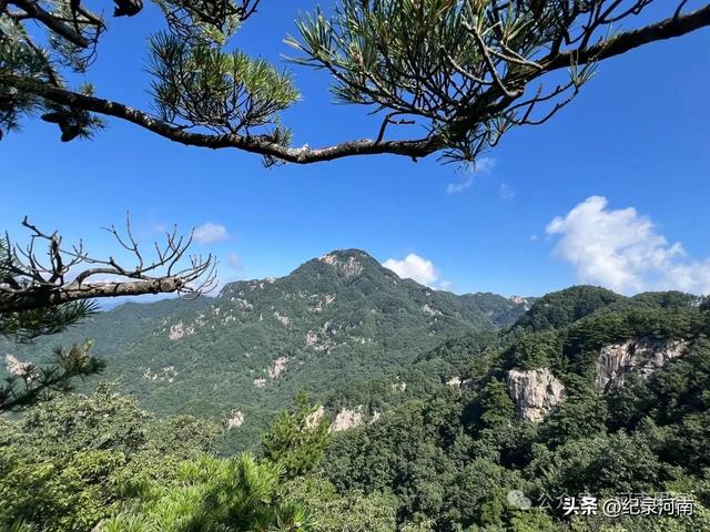 人间仙境南阳市西峡县老界岭避暑散记:寻一方清凉,品山野之味