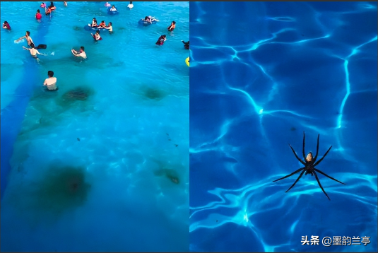 比厕所还脏，比砒霜毒！暑假“遛娃”圣地，居然藏着妇科病危机？