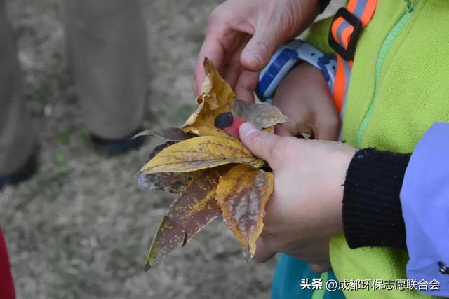 环保志愿 “趣”游蓉城｜锦城湖“无痕自然”体验活动