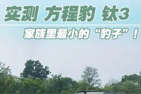 4.57秒破百，422马力，510牛·米，双电机四驱“方盒子”SUV，“小豹子”竞争力究竟如何？图片