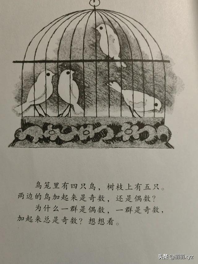 五上数学预习：12 奇数与偶数，这个概念很重要
