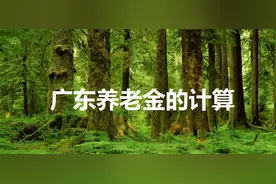 广东企业养老金的计算图片