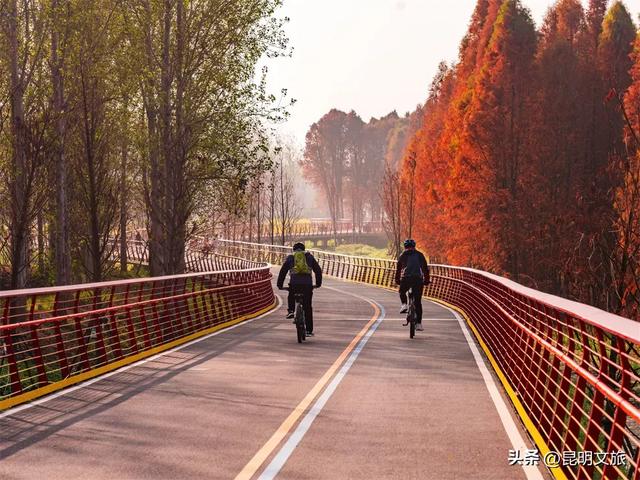 “红”爆！是谁还没有Get昆明的冬天？你知道12月的滇池有多绝？周末冲~