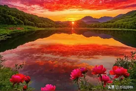 如果你也经历失去至亲之痛，就来看看这5句话，会好受很多图片