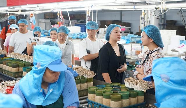 26国61名在粤外国留学生走进韶关：触摸绿韵韶关，感知立体中国