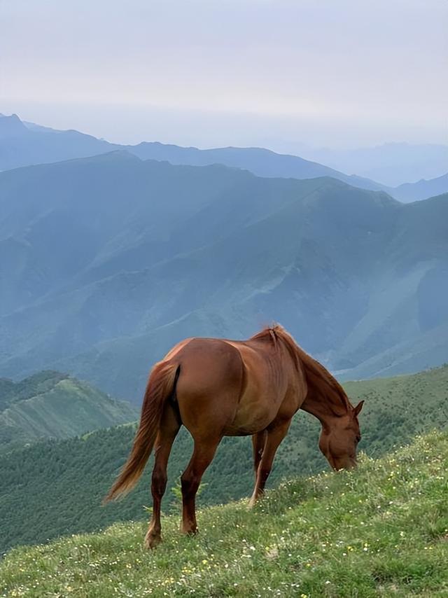 五台山4天3晚旅游攻略，开启省钱省心深度游
