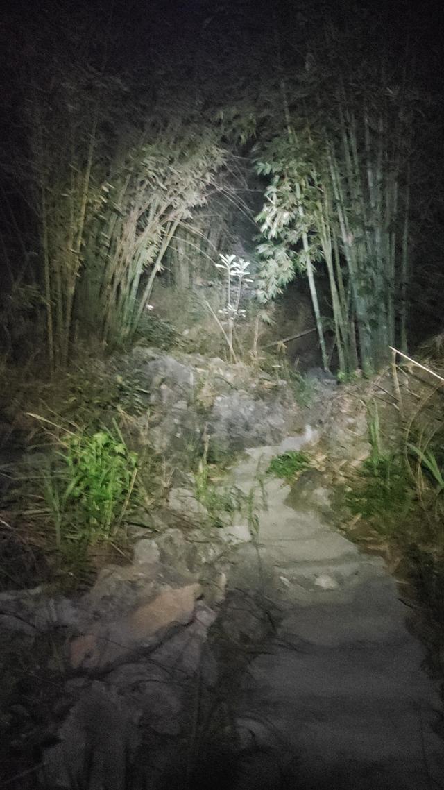 独自走在乡间大山里