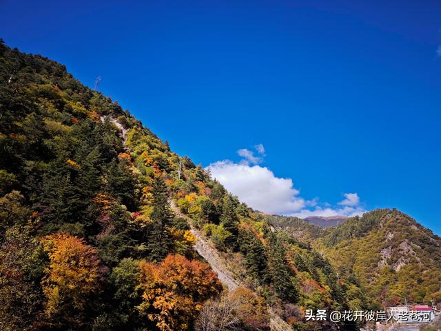 米亚罗彩林季，观赏一日游！