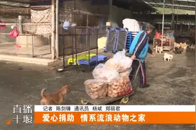 再献爱心！十堰多行业心系流浪动物之家图片