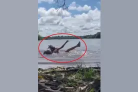 事发哥伦比亚！女子游泳时被卡皮巴拉啃咬头部，画面惊险图片