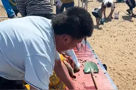 有多宠游客？日照一景区怕赶海挖不到蛤蜊，日撒3000斤！网友：满满的情绪价值图片