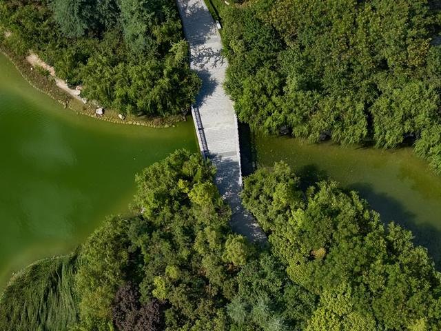 西安中湖公园 绿意盎然 园景如画