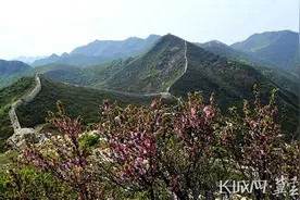 行走万里长城 | 保护·传承·利用 河北为长城国家文化公园建设“打样”图片
