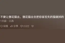 原来猫咪的江湖追捕令是这么来的，狸花猫猎杀时刻，评论区笑麻了图片