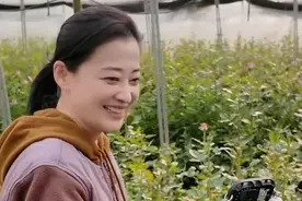 梅婷云南菜地摘花，素颜憔悴头发斑秃，穿土黄色衣服被认作农民图片