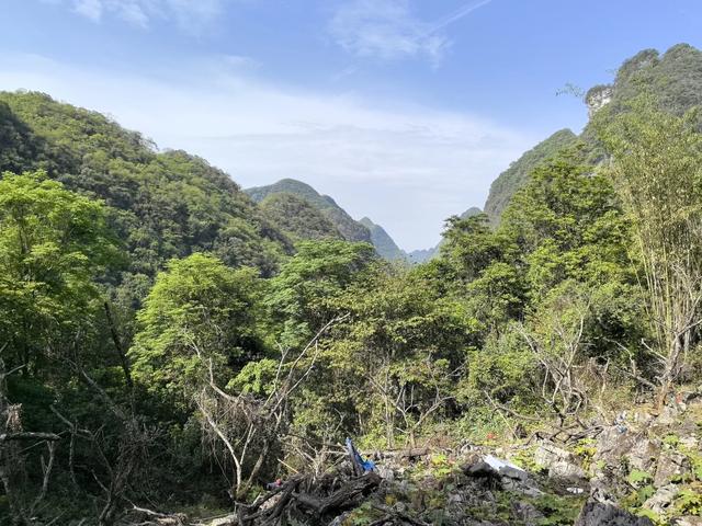 带小朋友去贵州茂兰，连环探洞加漏斗原始森林徒步二日游全攻略！