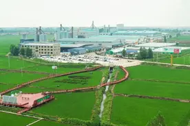 十月稻田2024年稳中向新，谱写厨房食品发展新篇章图片