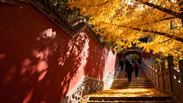 长河熔金铺霞绮，皋兰叠翠染秋章 —— 溯游丝路明珠的千年清秋长卷