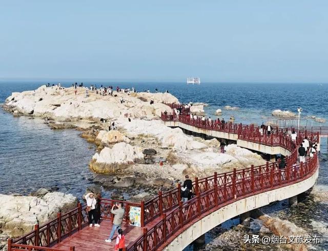【乐游烟台】目测要火！烟台这座小城最近好看得离谱
