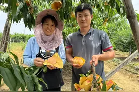 拓宽运输“朋友圈” 顺丰按下快递“加速键”图片