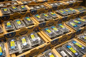 女子吃蓝莓竟导致胃肠道“结石”！医生：千万不能这么吃！图片