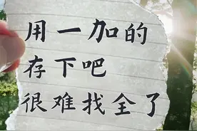 📱 一加手机隐藏功能大揭秘！这7个神技让你效率翻倍！图片