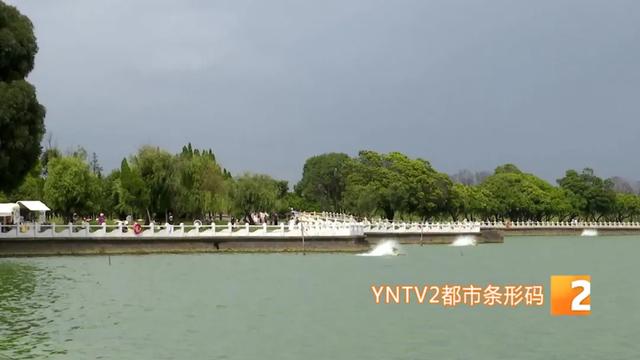 巨型稻草人、睡美人稻海等太出片了！昆明这个宝藏景点越来越美！