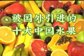历史上被外国引进十大的中国水果，你都知道是哪些吗？图片