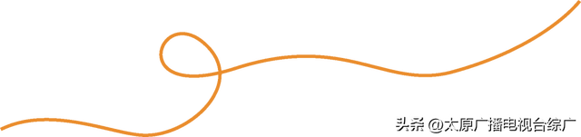 秋日赏枫：双塔公园五角枫染红秋意